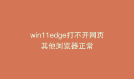 win11edge打不开网页其他浏览器正常