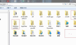 JetBrains软件开发框架下的类似于“.IntelliJIdea2018.1”文件夹的移动
