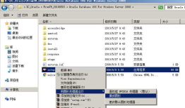 Oracle.10g(x86)在Win7x64下安装不上