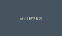 win11报错日志
