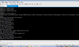 堡垒机项目实战-web ssh 的使用