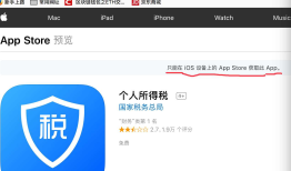 iOS 个人所得税 app 基础解析实践