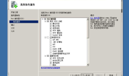 Windows server2008r2 安装IIS