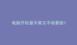电脑开机显示英文不动要按1