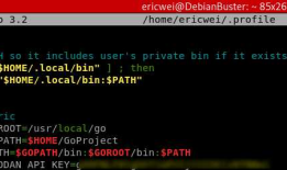 Go Pentester - HTTP CLIENTS(2)