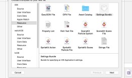 【读书笔记】iOS-Settings Bundle