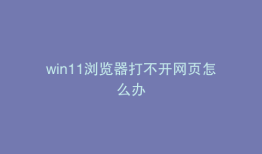 win11浏览器打不开网页怎么办