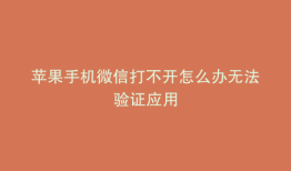 苹果手机微信打不开怎么办无法验证应用