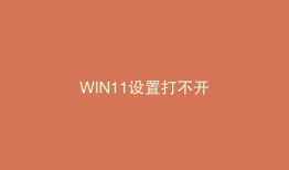 WIN11设置打不开