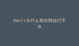 Win11为什么有的网站打不开