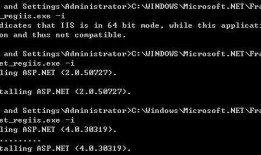 win2003 r2 sp2 配置IIS及安装.NET 2.0和4.0