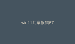 win11共享报错57