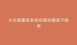 大白菜重装系统后鼠标键盘不能用