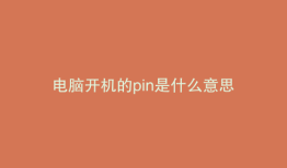 电脑开机的pin是什么意思