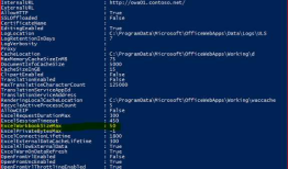 Office Web Apps 2013 修改Excel在线查看文件大小限制