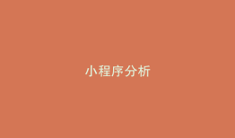 小程序分析