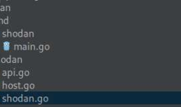 Go Pentester - HTTP CLIENTS(2)