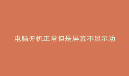 电脑开机正常但是屏幕不显示功能