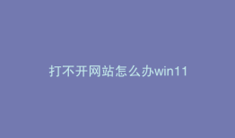 打不开网站怎么办win11