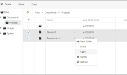 DevExpress ASP.NET Core v19.1版本亮点：Rich Text Editor