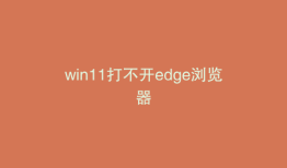 win11打不开edge浏览器