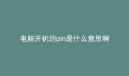 电脑开机的pin是什么意思啊