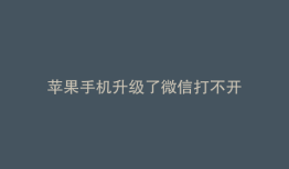 苹果手机升级了微信打不开
