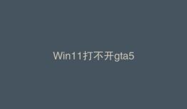 Win11打不开gta5