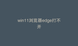 win11浏览器edge打不开