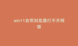 win11自带浏览器打不开网银