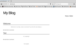 OSCP Learning Notes - WebApp Exploitation(2)