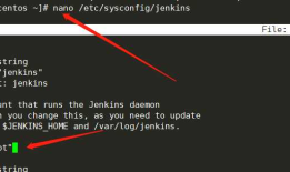 .Net Core 使用jenkins 部署到远程服务器docker