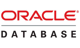 Oracle Database-PL/SQL