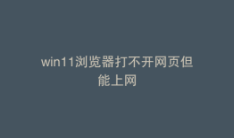 win11浏览器打不开网页但能上网