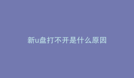 新u盘打不开是什么原因