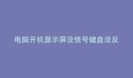 电脑开机显示屏没信号键盘没反应