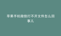苹果手机微信打不开文件怎么回事儿