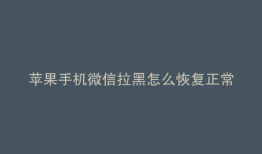 苹果手机微信拉黑怎么恢复正常