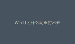 Win11为什么网页打不开