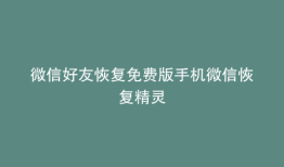 微信好友恢复免费版手机微信恢复精灵