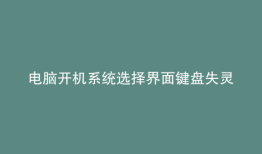 电脑开机系统选择界面键盘失灵