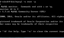 初始mysql