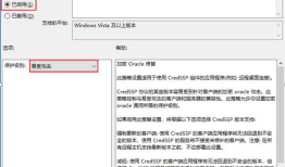 Windows系统CredSSP漏洞修复