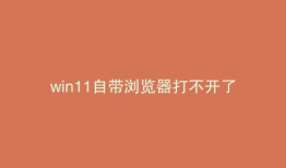win11自带浏览器打不开了