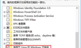 WSL(Windows Subsystem for Linux)的安装与使用