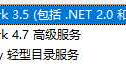 win10 iis问题