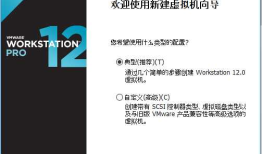 windows下VMware-workstation中安装CentOS