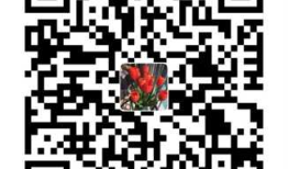 AppBoxFuture(三): 分而治之