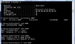 window下解决端口占用