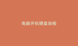 电脑开机硬盘自检